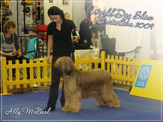 Moonlight Black Bear Ally McBeal - World Dog Show Bratislava 2009 - Exc.2, RCAC