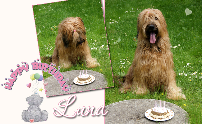 Jezinka Ana LUNA Bar-Bar Beskydy - 6 Jahre alt