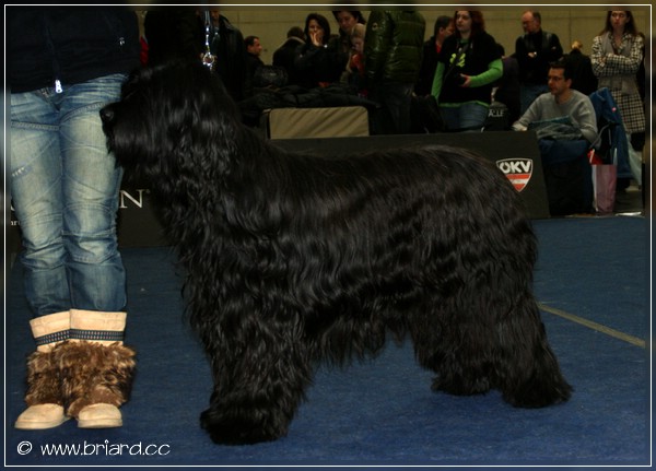 E'Névio Noir de la Tour Saint Genin: BEST OF BREED