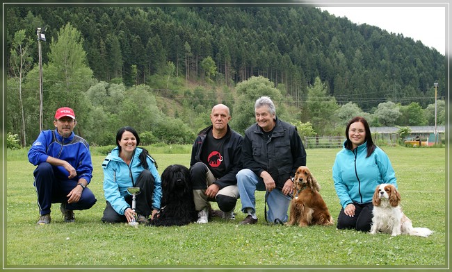 ÖRV Hundesportverein Liezen BGH-2 