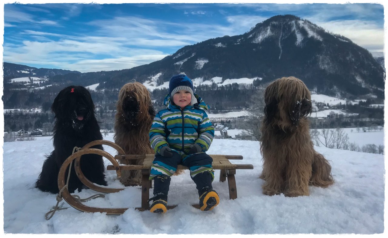 Kinder, die mit Hunden aufwachsen, gehen verantwortungsvoller mit ihrer Umwelt um