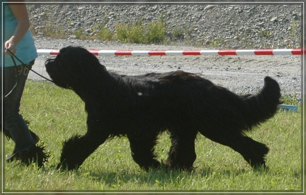 Névio in movement - UEBB  2010, Suisse.