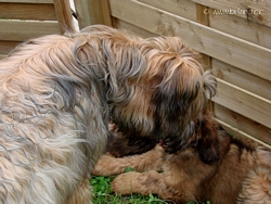 Ein Bussi zum Abschied: Gismo und Alea