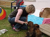 Susanne mit Ambra Bella und Amaroo Aion