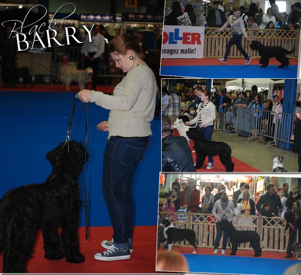 Moonlight Black Bear BLACK BARRY: VV1, BEST PUPPY - CACIB Luxenburg