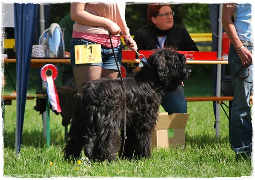 BDC-CAC Kämpfelbach-Bilfingen: BLACK BARRY: VV1